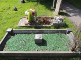 image of grave number 764382